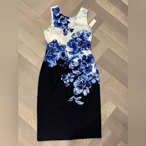Anthropologie Dress Size 2